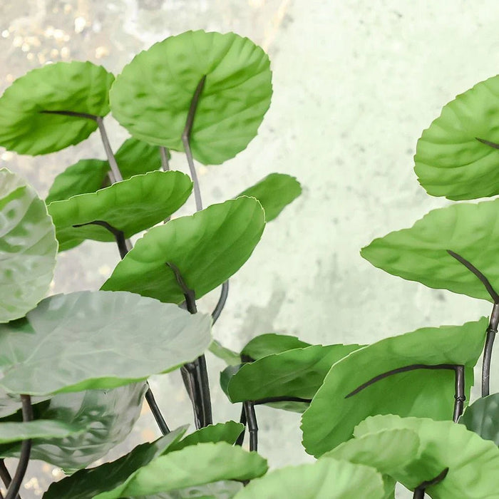 Phlox Philodendron Potted Plant 52Cm