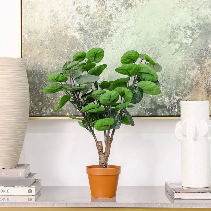 Phlox Philodendron Potted Plant 52Cm