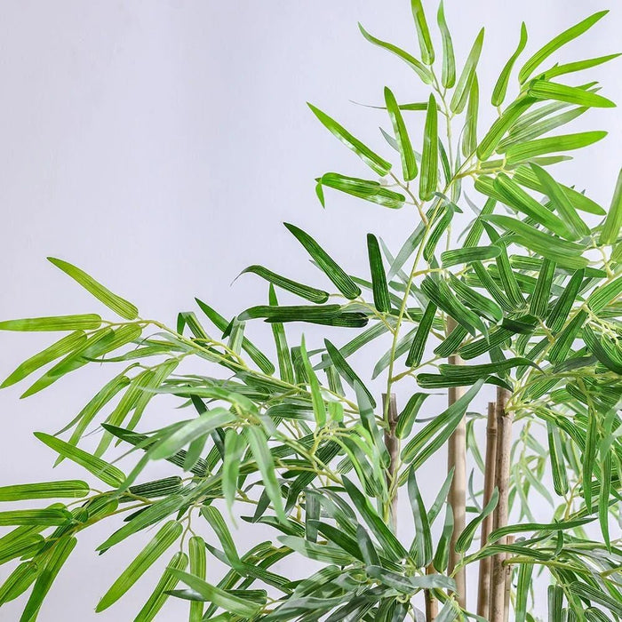 Bamboo 6 Rod150 Group Lvs Potted Plant 210Cm