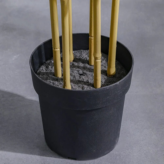 Bamboo 6 Rod150 Group Lvs Potted Plant 210Cm