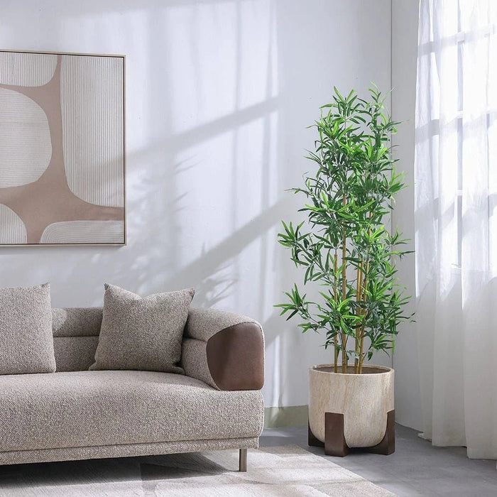 Bamboo 6 Rod150 Group Lvs Potted Plant 210Cm