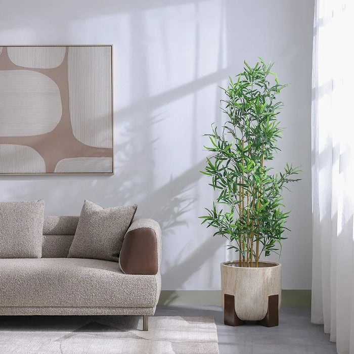 Bamboo 6 Rod150 Group Lvs Potted Plant 210Cm