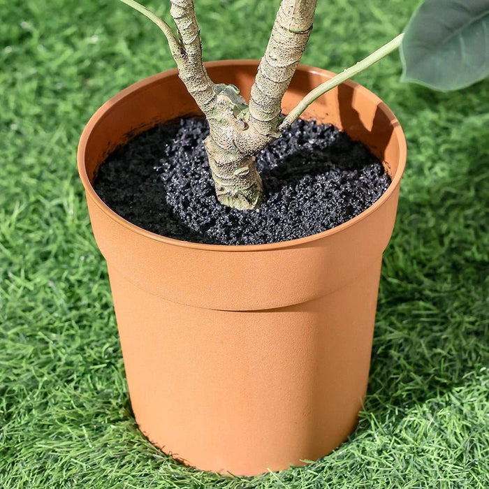 Pot Plant Schefflera 100Cm