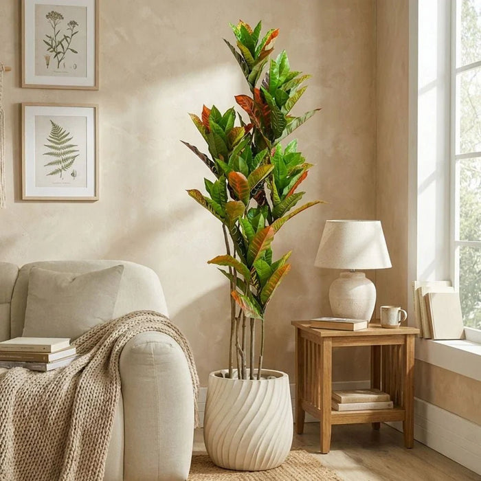 Codiaeum Plant 145CM