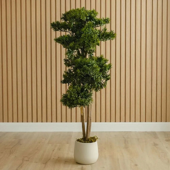 Pine Bonsai Plant 120CM