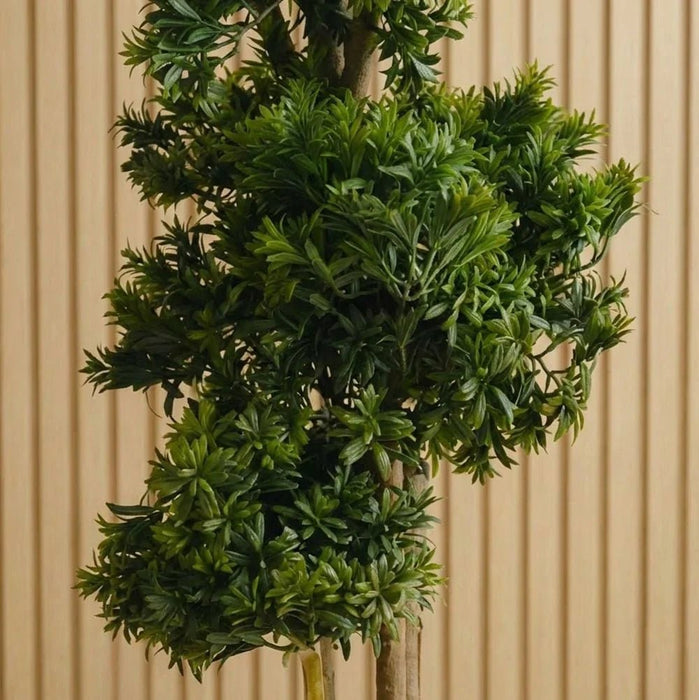 Pine Bonsai Plant 120CM