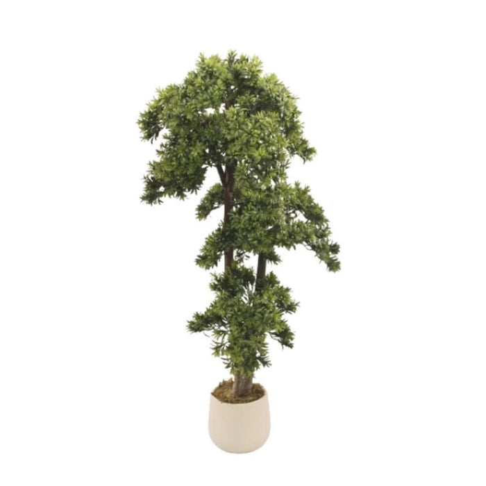 Pine Bonsai Plant 120CM