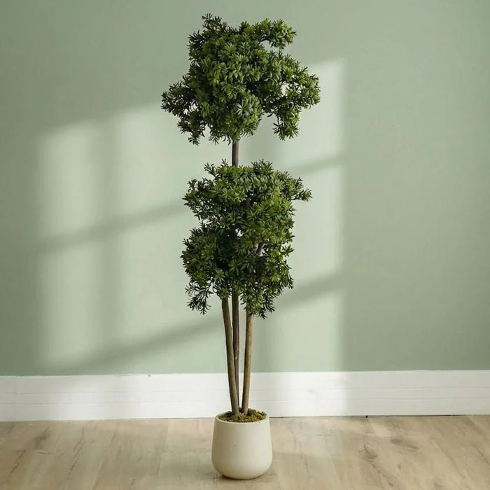 Pine Bonsai Plant 160CM