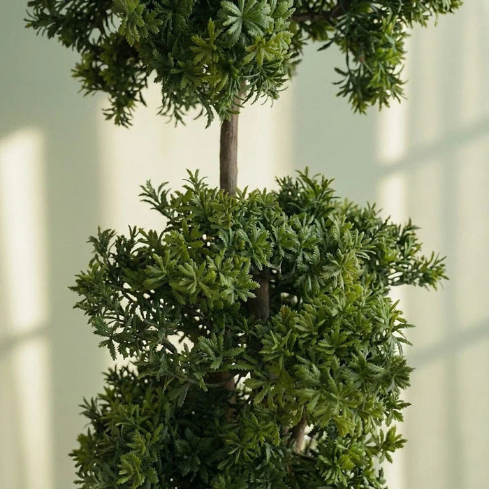 Pine Bonsai Plant 160CM