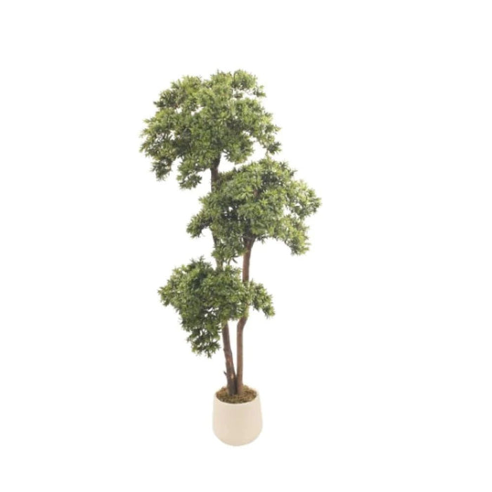 Pine Bonsai Plant 160CM