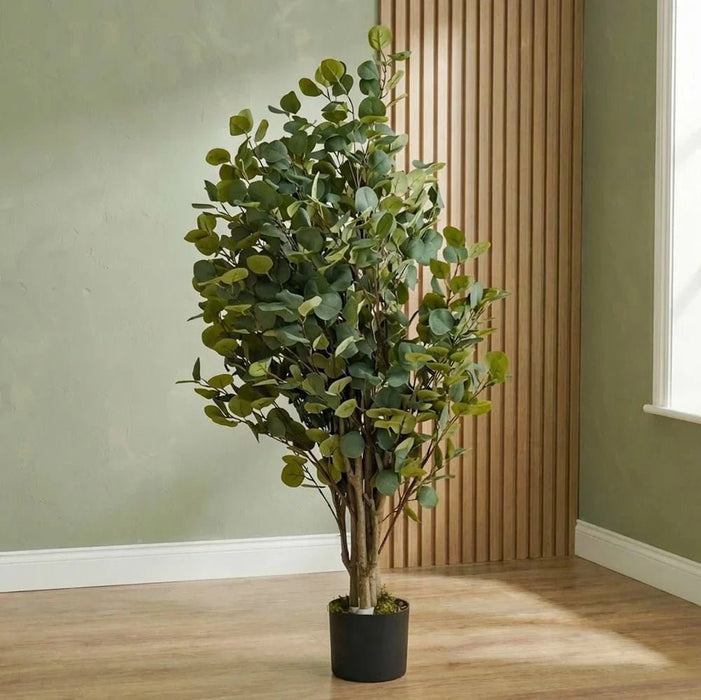 Eucalyptus Plant 200CM