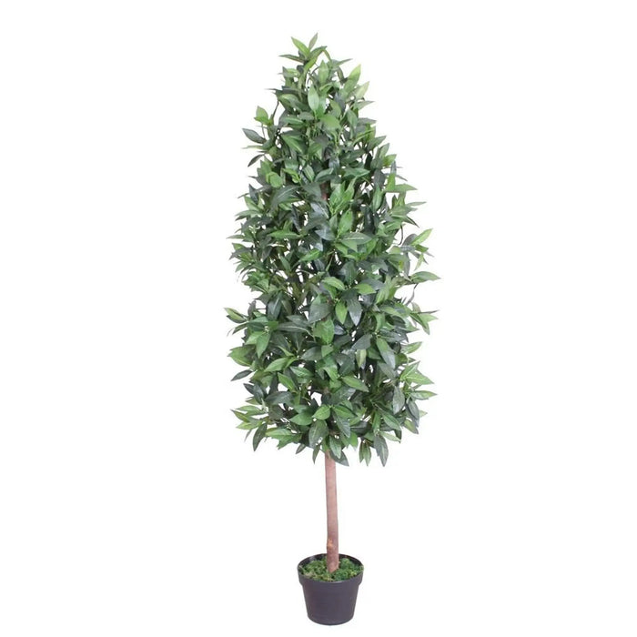 Pyramid Bay Tree - 150Cm, Green, Fresh Tree, Fabric/Plastic ,For Adding Realistic Greenery, Enhancing Entrances, Living Spaces, Patios, Balconies