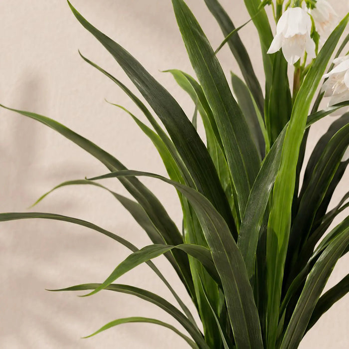 Enkianthus Plant - 90Cm, White, Sophisticated Plant, Peva/Plastic ,For Adding Lifelike Greenery, Decorating Homes, Offices, Balconies, Patios