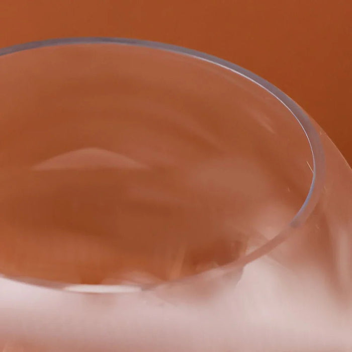 Vetro Fish Clear Glass Bowl 34X17.5Cm