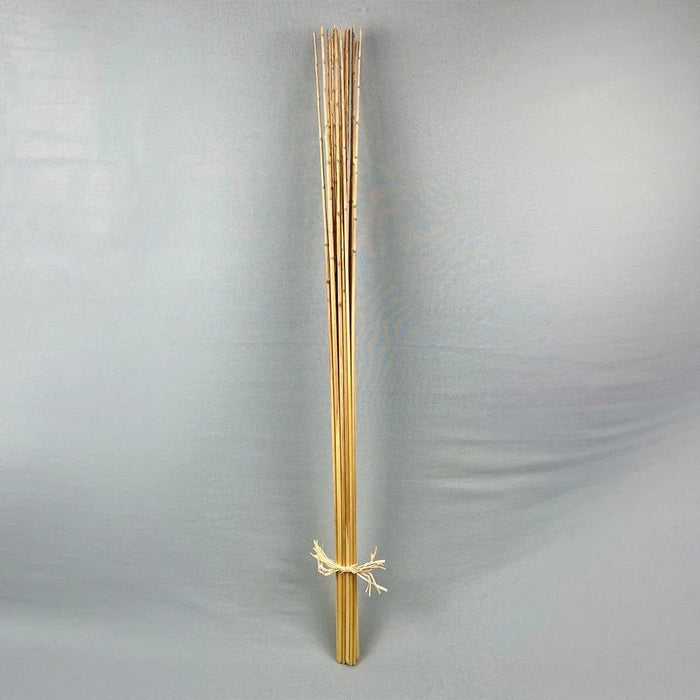 Fleur Reed Stem Natural H-- 120Cm