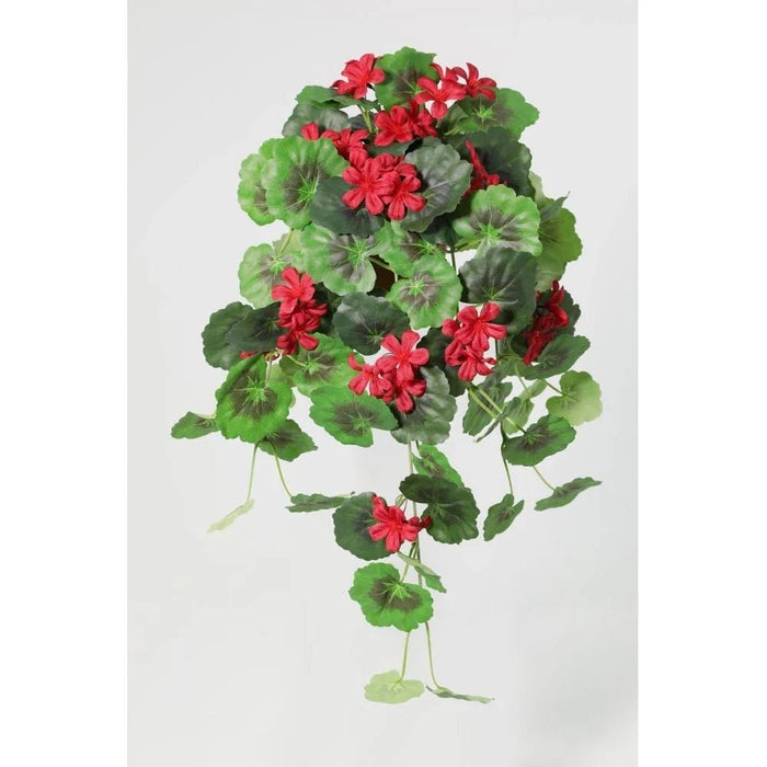 Fernza Hanging Begonia Potted Plant Red H55Cm