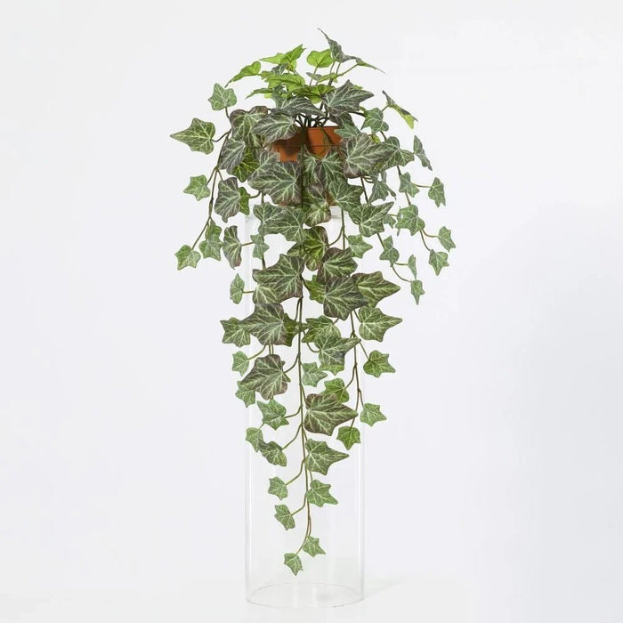 Fernza Ivy Hanging Plant Green H55Cm