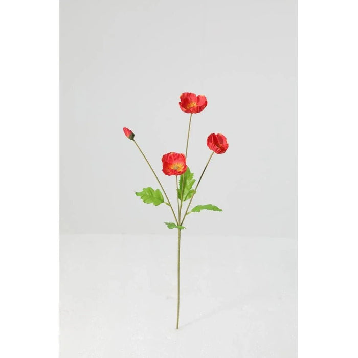 Fernza Red Poppy Single Stem Red H71Cm