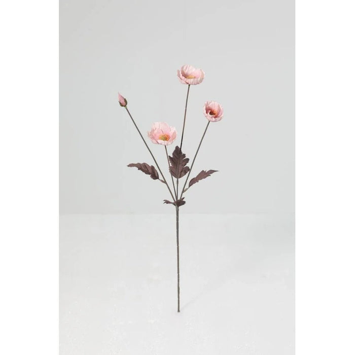 Fernza Pink Poppy Single Stem Pink H55Cm