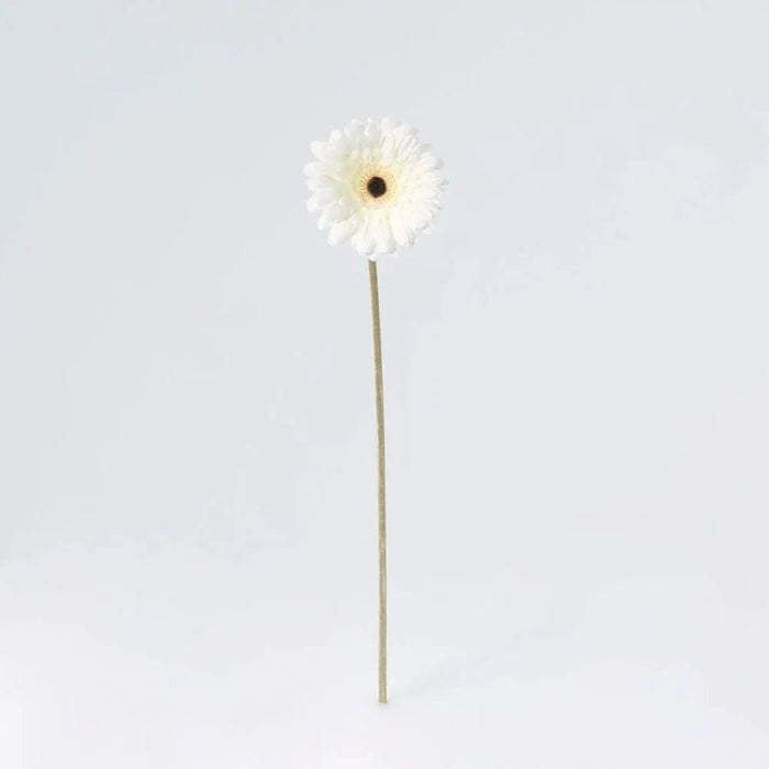 Fernza Gerbera Daisy Single Stem White H52Cm