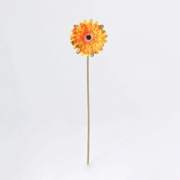 Fernza Gerbera Daisy Single Stem Orange H52Cm