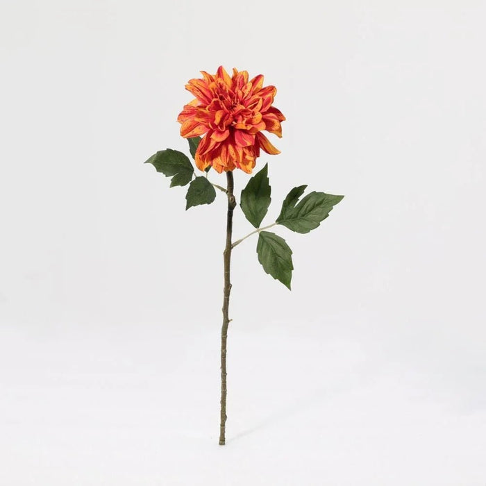 Fernza Dahlia Single Branch Orange H58Cm