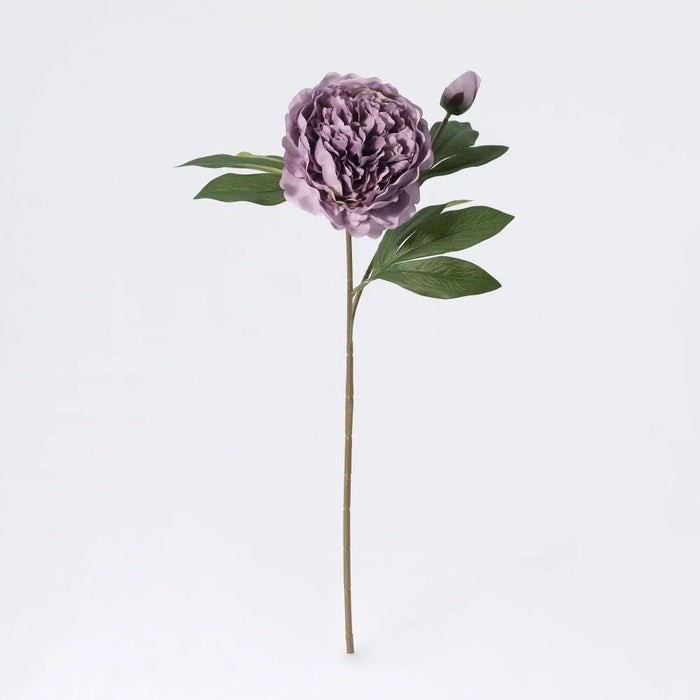 Fernza Peony Reddish Violet Single Stem Purple H58Cm