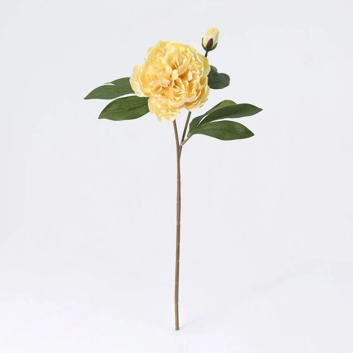 Fernza Peony Reddish Violet Single Stem Yellow H58Cm
