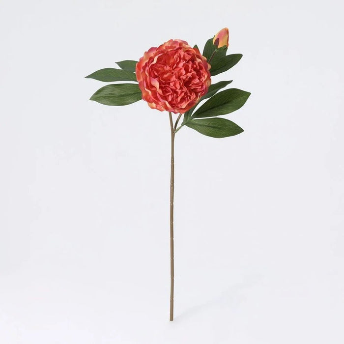Fernza Peony Reddish Violet Single Stem Red H58Cm