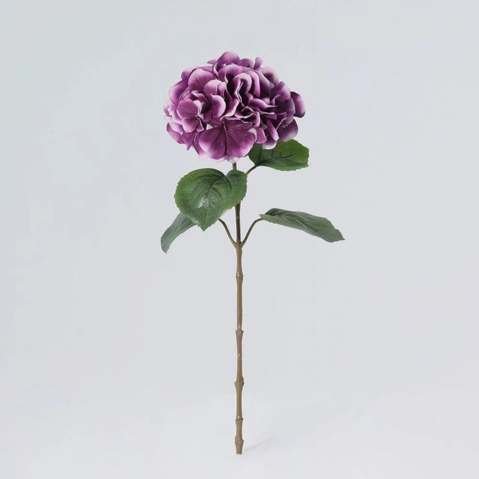 Fernza Hydrangea Single Stem Purple H55Cm