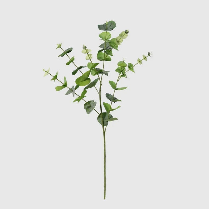 Fernza Eucalyptus Leaves Single Stem Green H85Cm