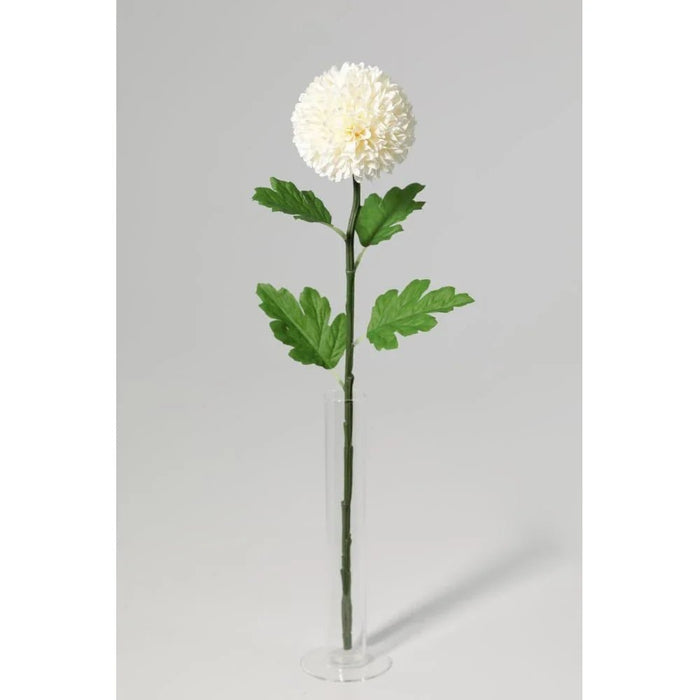 Fernza White Ping Pong Chrysanthemum Single Stem White H54Cm