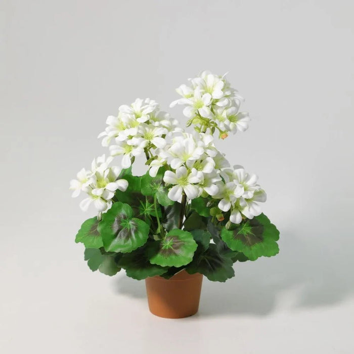 Fernza Crabapple Potted Plant White H33Cm