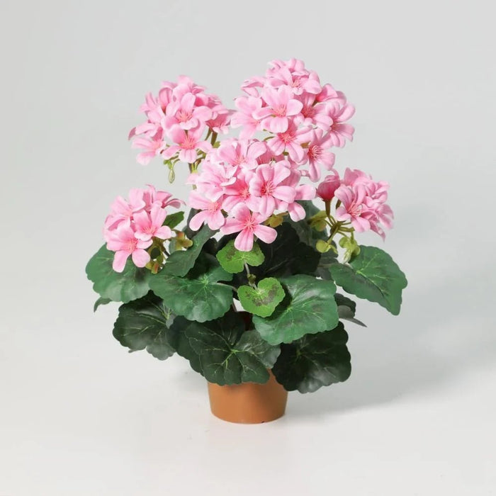 Fernza Crabapple Potted Plant Pink H33Cm