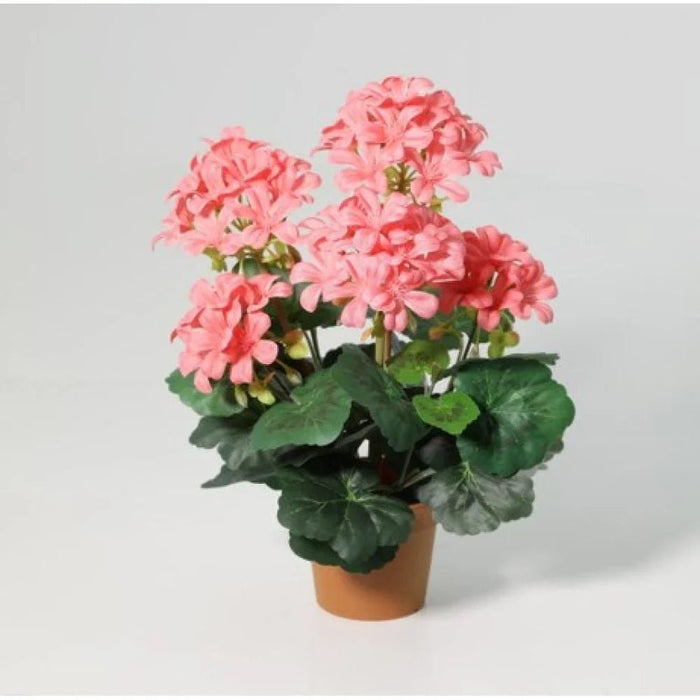 Fernza Crabapple Potted Plant Red-Pink H33Cm