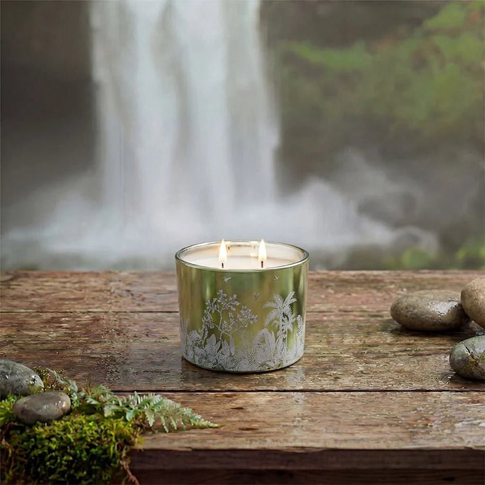 Alvea (220G) Harmony Pine & Eucalyptus Jar Candle