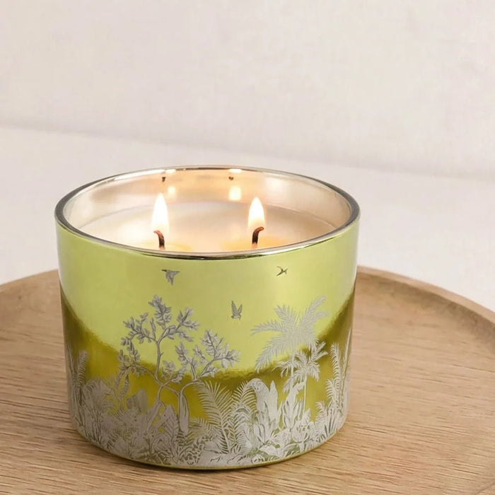 Alvea (220G) Harmony Pine & Eucalyptus Jar Candle