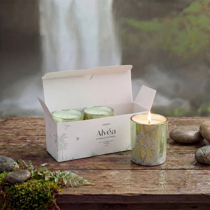 Alvea (120G) Harmony Pine & Eucalyptus Jar Candle
