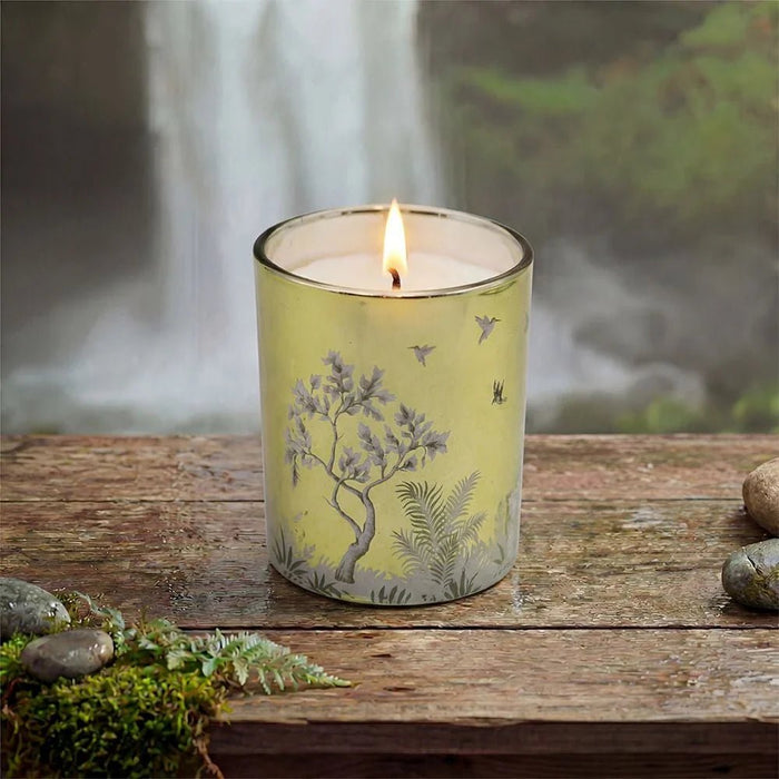 Alvea (120G) Harmony Pine & Eucalyptus Jar Candle