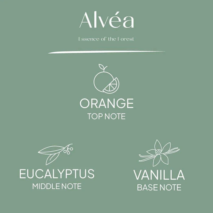 Alvea (120G) Harmony Pine & Eucalyptus Jar Candle