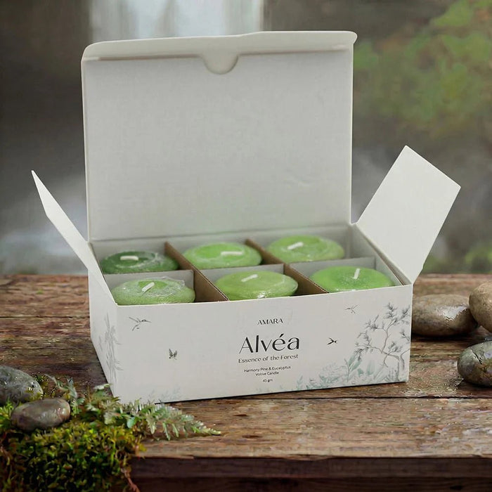 Alvea (45G) Harmony Pine & Eucalyptus Votive Candle