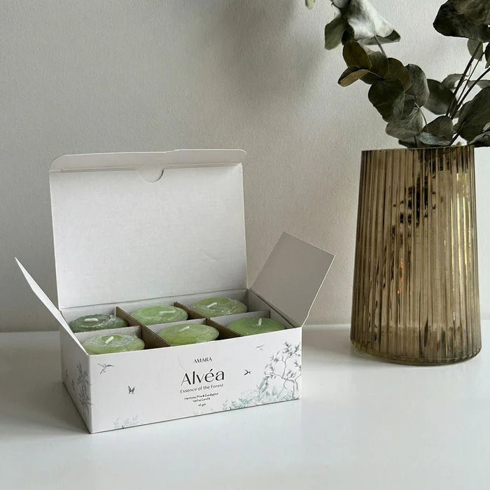 Alvea (45G) Harmony Pine & Eucalyptus Votive Candle