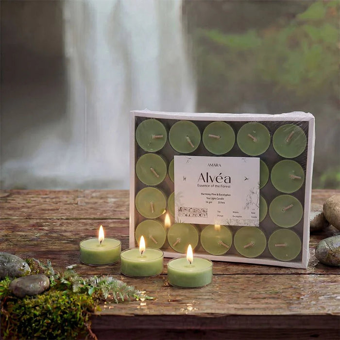 Alvea (14G) Harmony Pine & Eucalyptus Tea Light Candle
