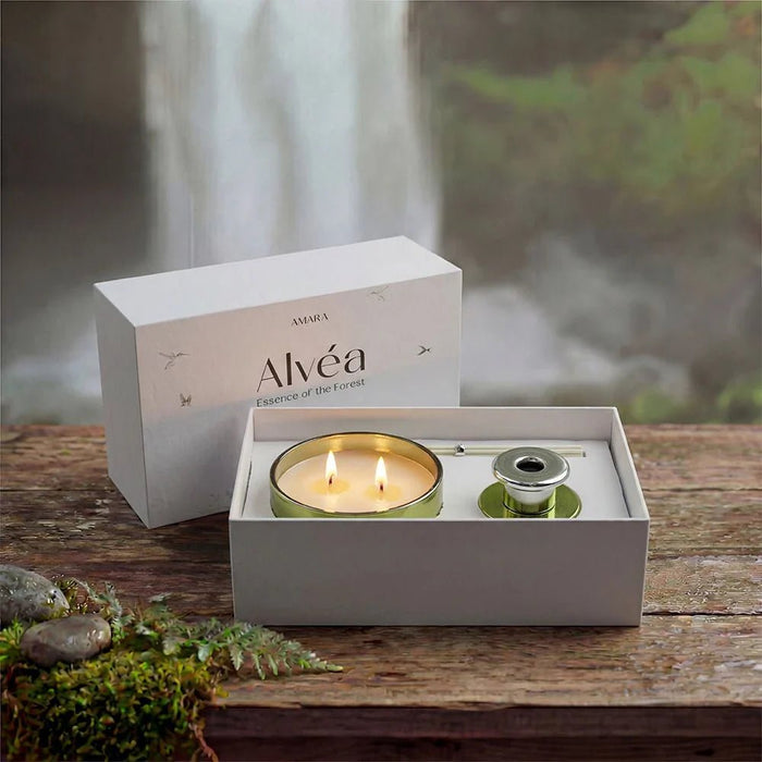 Alvea Harmony Pine & Eucalyptus Gift Set (Jar Candle- 220G, Reed Diffuser- 100Ml)