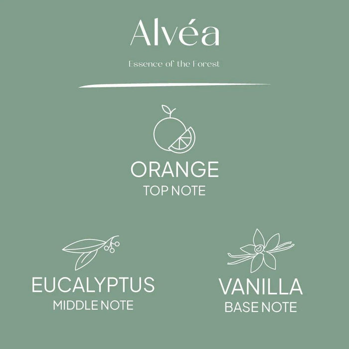 Alvea (15Ml) Harmony Pine & Eucalyptus Fragrance Oil