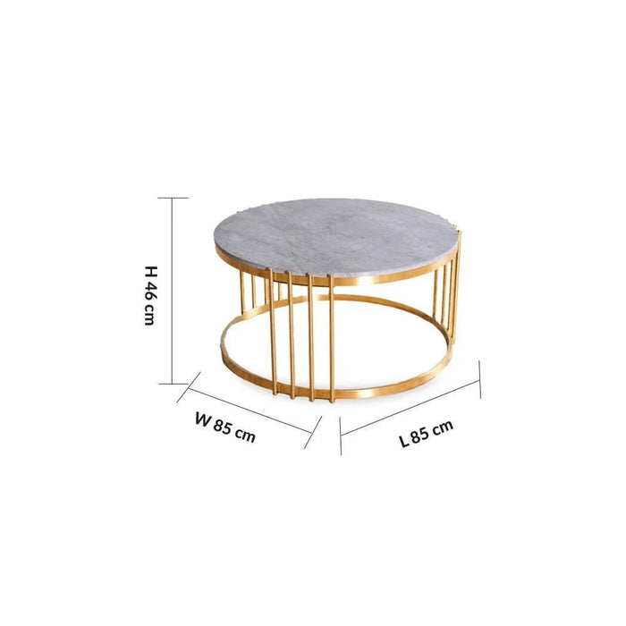 Armadillo Coffee Table-Grey/Gold