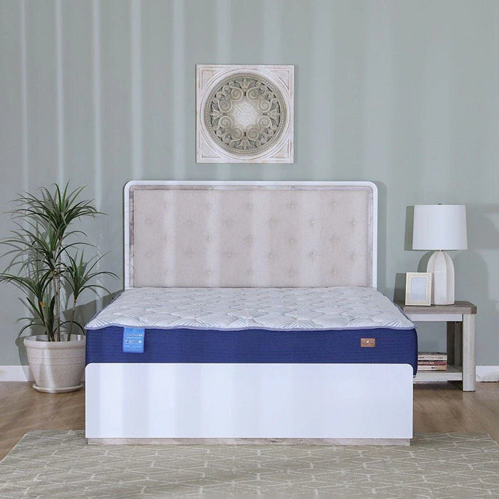 Gel Memory Foam with Pocket Spring Medium Soft Queen Mattress-160x200x25 cm-With 10-Year Warranty