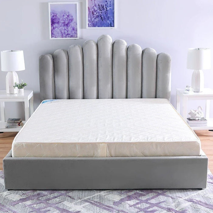 Dream Spine Fit Foam Firm King Mattress 180x200x20 cm-With 5-Year Warranty