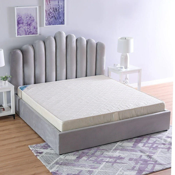 Dream Spine Fit Foam Firm King Mattress 180x200x20 cm-With 5-Year Warranty