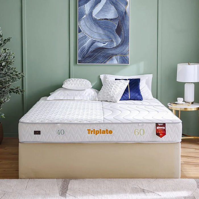 Thriplet Three Feel Reversible Hr Foam Mattress 180X200X25 Cm